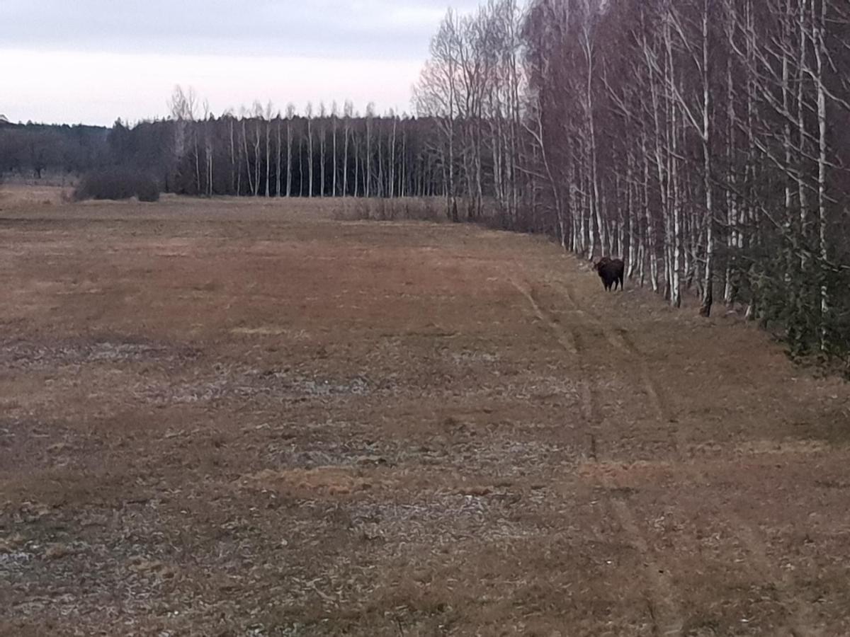 Ciche Podlasie Siemianowka Esterno foto