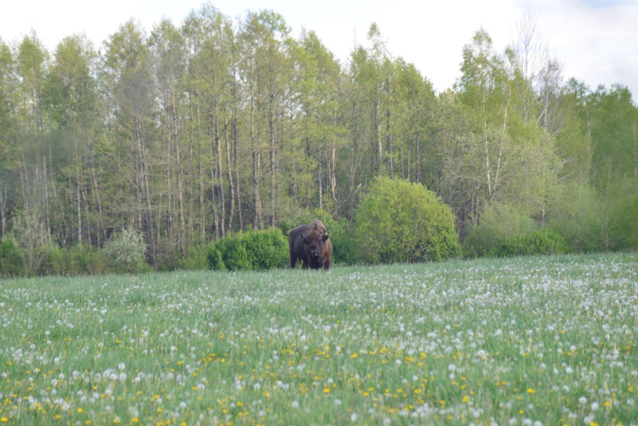 Ciche Podlasie Siemianowka Esterno foto