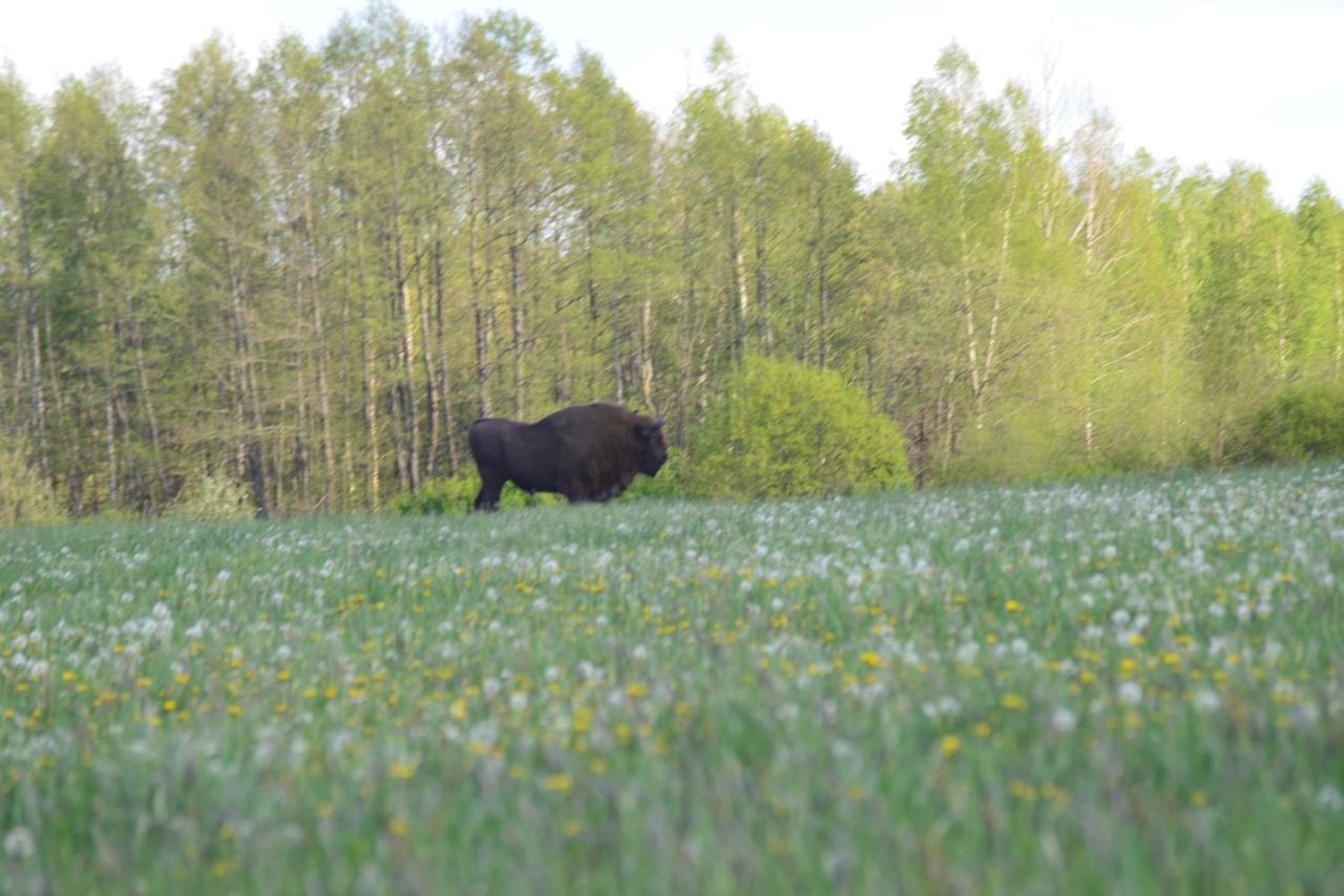 Ciche Podlasie Siemianowka Esterno foto